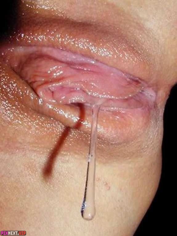 Dripping Wet Pussy 2.0
